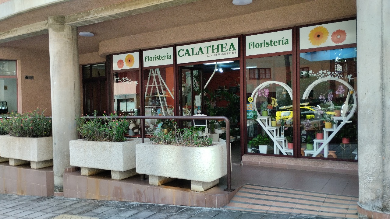 Floristeria Calathea